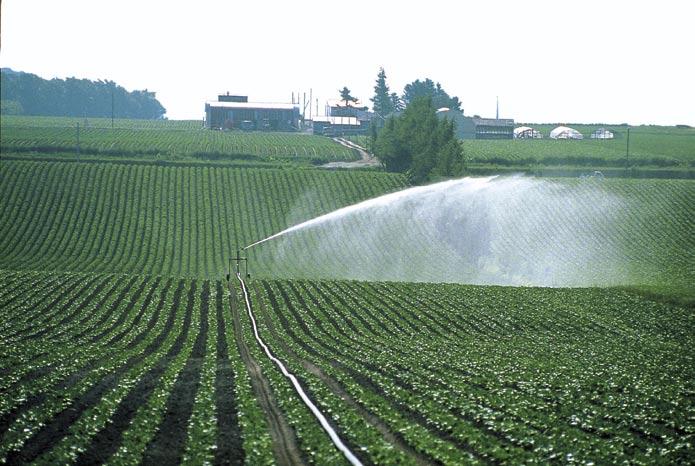 They are equally suited for every type of irrigation system because of a special drive system which breaks up the water jet into an effective spray that does not harm the crop, through all pressure