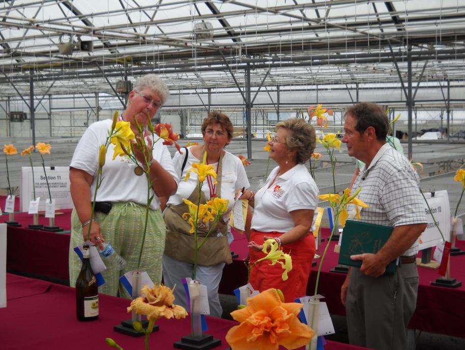 YOU ASK THE QUESTIONS YOU GET THE ANSWERS We are fortunate to have several SMDS members who are AHS exhibition and/ or garden judges.