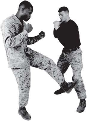 ~ Step forward using a forward-right angle of movement moving in toward the aggressor.