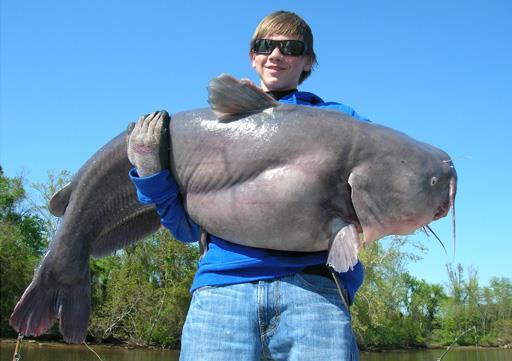 Need we be concerned about INVASIVE SPECIES? Fish the James River all year round and encounter huge blue catfish in excess of 100 lbs.