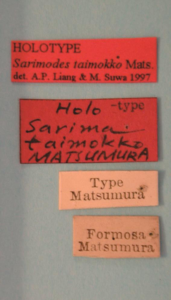 5 6 7 8 Figs. 5-8. Sarimodes taimokko Matsumura, 1916, holotype, female.