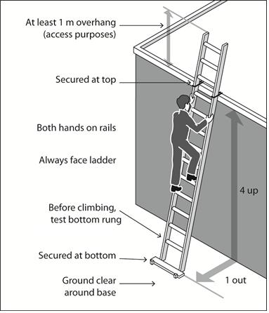 8. have all the locking devices on the ladder secured. 9. have a slip resistant base, rungs and steps. 10.