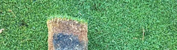 injection unit such as the Air2G2 in order to better aerate the rootzone and alleviate the anaerobic conditions, which are currently