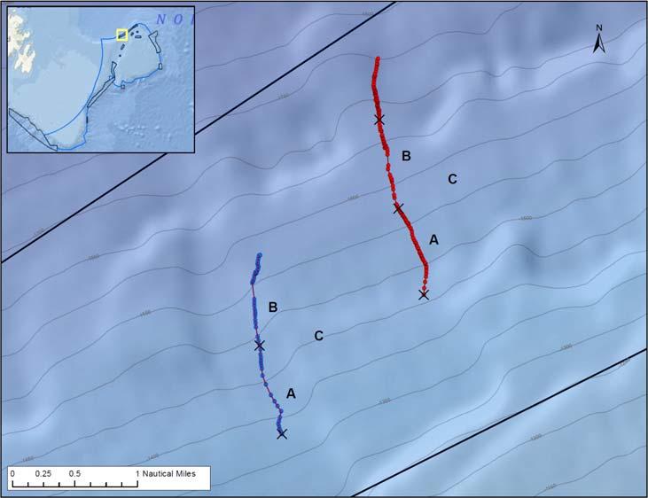 21 Figure 18. Camera transect lines 11 (blue) and 12 (red), run during CCGS Hudson mission in 2009. A and B represent 1.4 km sections on each line while C is the total line length of 2.8 km.