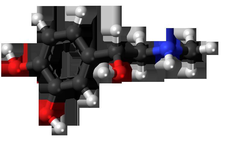 36 35 Testosterone Boosting Supplements SUPPLEMENT #35 BRANCH CHAIN AMINO ACIDS Branch Chain Amino Acids (BCAA s) are leucine,