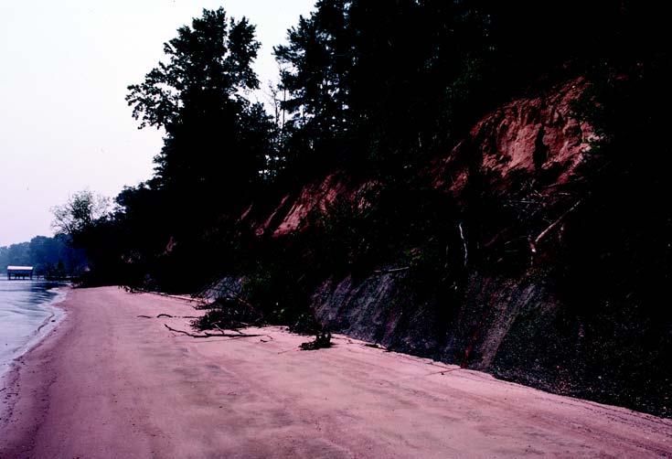The resultant beach deposit, a sand product derived from bank erosion, absorbs the energy from incoming waves until the deposit is eroded during subsequent storm events.