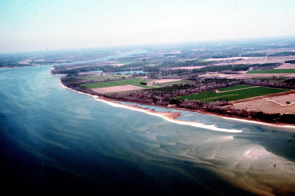 Erosion Accretion Spit (SAV) Sand Bars Figure 9 Erosion of sandy upland banks along the Eastern Shore provides significant sediment to create spits and offshore sand bars that protect the mainland