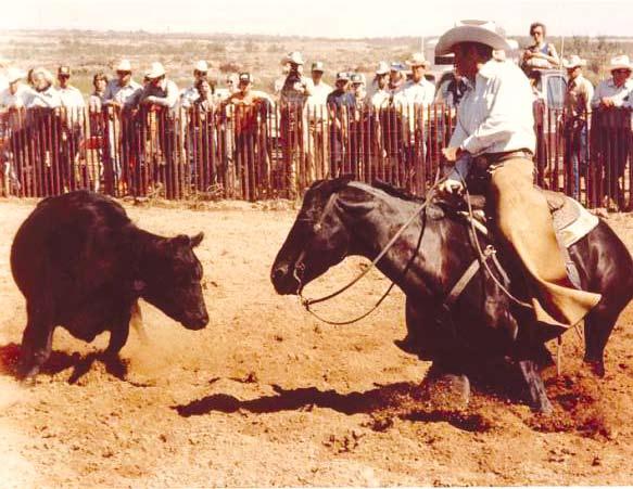 It was at the World Finals that Chunky Woodward noticed Matlock and Stardust Desire. He offered to provide the backing for Matlock and the mare to make a run at the NCHA World Championship.