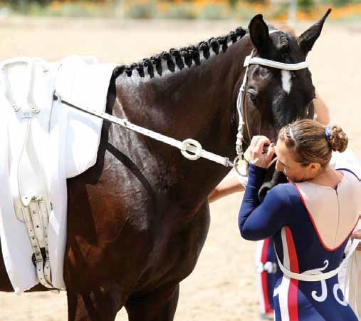 The vaulter can feel tension in the back and the lunger can see the horse s eye and ear expression. If there is tension, then the vaulter needs to slow down and regain the horse s trust and attention.