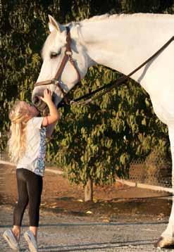 Only once the horse is confident with the vaulter and can maintain a consistent, forward, and energetic tempo, do we introduce running out toward him for the mount.