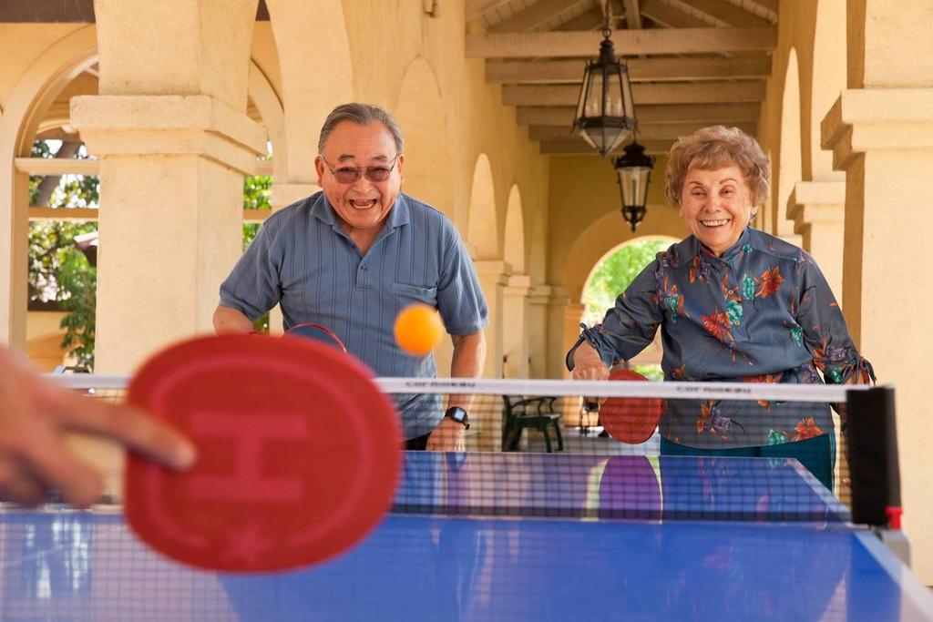 SAEF Table Tennis Therapy Sport and Art Educational Foundation (SAEF) was established in 2007 Targeted