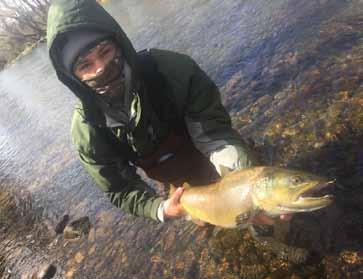 oz brown trout on Watauga River.