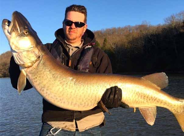 WATTS BAR LAKE Pending State Record for Musky Caught in Melton Hill Reservoir KNOXVILLE, Tenn.
