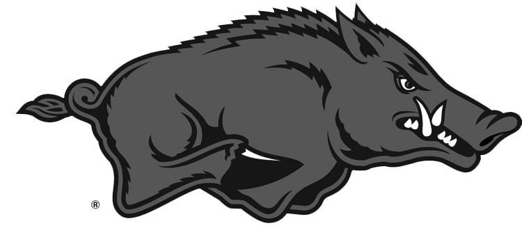 Index Table of Contents/Quick Facts... 1 Media Information/Schedule... 2 Team Photo and Roster... 3 Team TV/Radio Roster... 4 2009 Arkansas Razorbacks 2009 Preview...6-7 Brandy Baze... 8 Whitney Cloer.