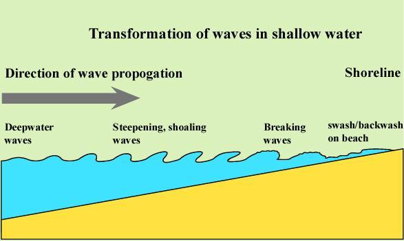 As waves approach a shoreline the water shallows and they change from deepwater to transitional waves.