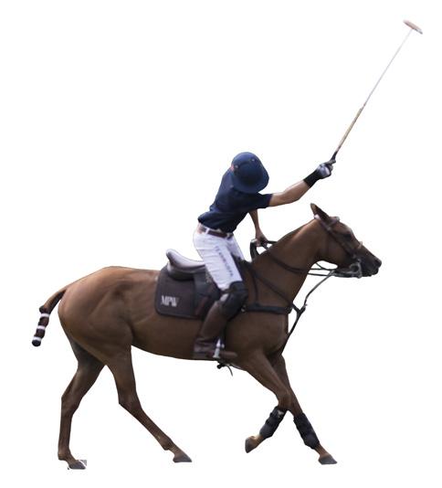 core competencies of making a successful polo player