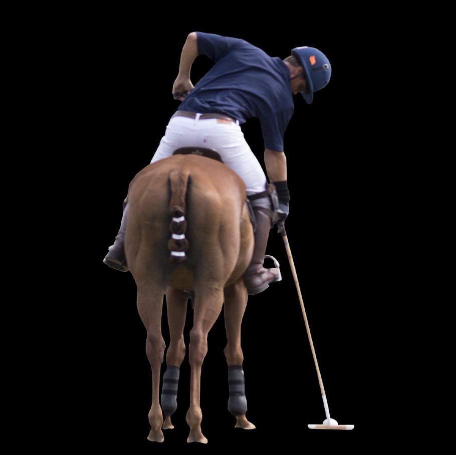 Ball Contact The optimal location from the ball to the horse and rider at the contact point.