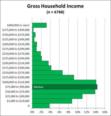 Income 10 Income Level Respondents Cumulative % $400,000 or more 214 3.2% $375,000 to $399,000 18 3.4% $350,000 to $374,000 48 4.1% $325,000 to $349,000 31 4.6% $300,000 to $324,000 70 5.