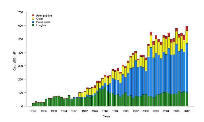 10 Figure 3. Annual catches (1000 t) of yellowfin tuna in the WCPO from 1952 2012 by fishing gear (Davies et al. 2014) Importance to the U.S.