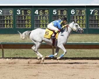 Get Happy Mister Caps Unbeaten 2014 at Arapahoe Park in $100K Arapahoe Park Classic August 16, 2014 Get Happy Mister cemented his legacy as the best horse ever bred in Colorado with a 2 3/4-length