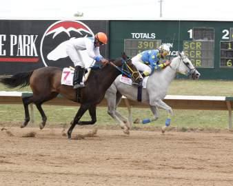 He completed an undefeated 2014 season at Arapahoe Park with five victories, four of them in stakes and ranging in distances from 5 1/2 furlongs to 1 1/8 miles.