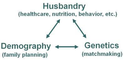 Population Management Guidelines Introduction: Good population management considers multiple factors, including husbandry, demography, and genetics.