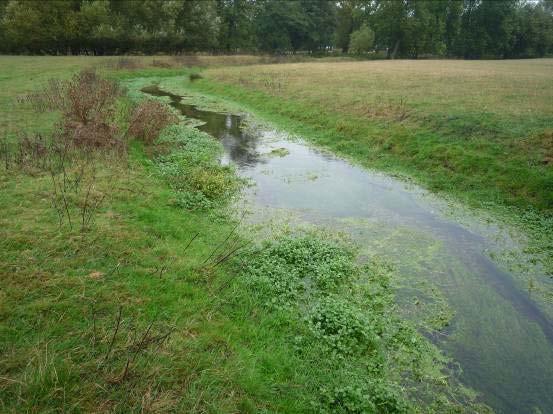 agreeable permissions might be granted to annually thin out wild parr and seed them out into suitable main river sites.