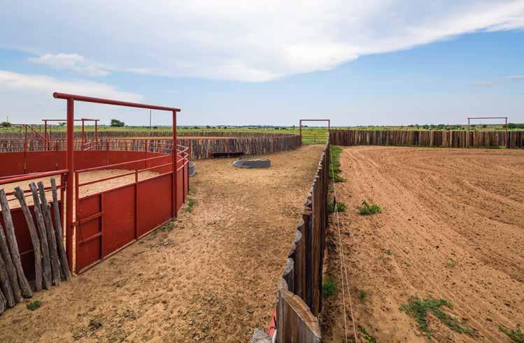 Wild Card Horse Ranch Donley County, Texas We are pleased to offer the exclusive listing