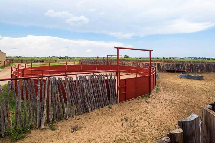 Training pens and arenas are well constructed and consist of an approx. 120 x130 square cutting arena, and an approx.