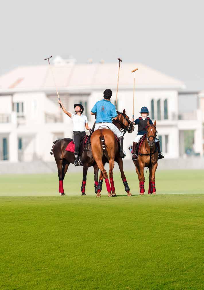 Polo Academy The Al Habtoor Polo Academy provides an opportunity to enter the fascinating world of polo in the state of the art, Al Habtoor Polo Resort & Club, under the instruction of the head