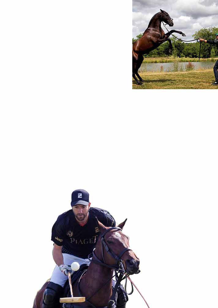Meet Polito Pieres, recognized by the USPA with the sport s highest rating: a 10-goal handicap 1. When and how were you introduced to polo?