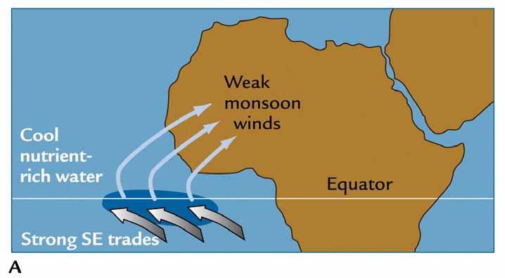 When the monsoon is weak and the