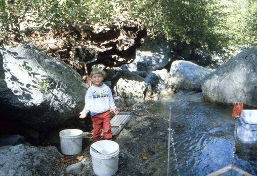 194 This report should be cited as: Leidy, R.A. 2007. Ecology, Assemblage Structure, Distribution, and Status of Fishes in Streams Tributary to the San Francisco Estuary, California.