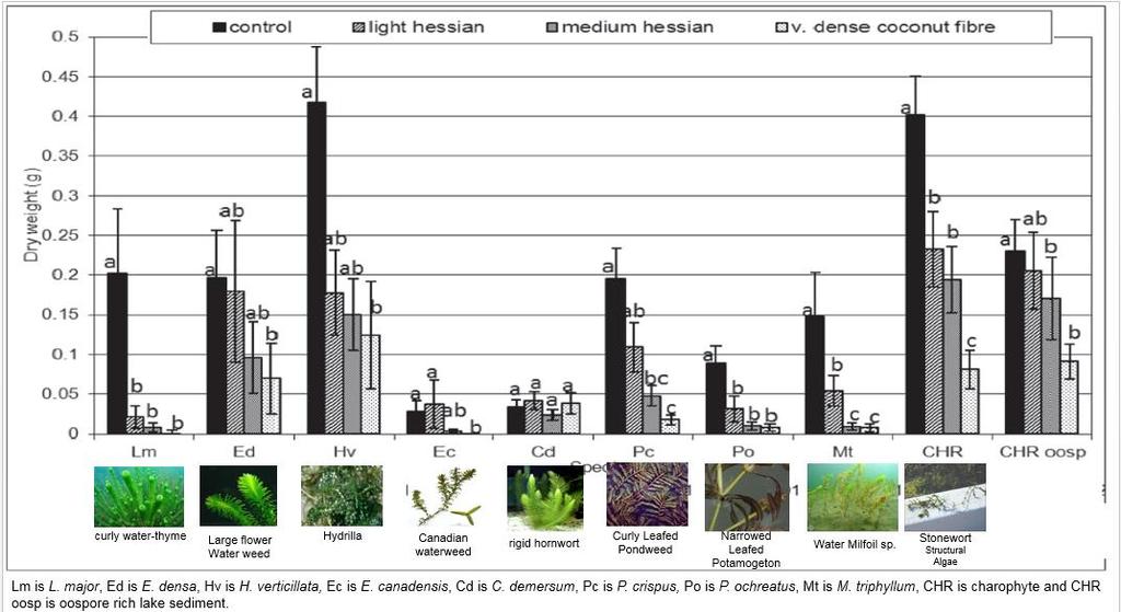 Assessment of benthic barrier products for submerged aquatic weed control DEBORAH E. HOFSTRA and JOHN S.