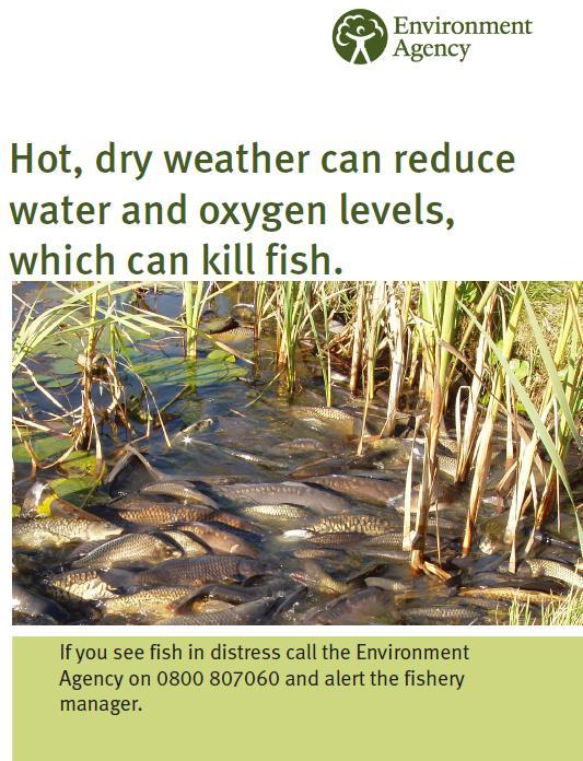 River fisheries Think carefully before cutting weed. If you do cut weed, avoid piling it on the bankside as the run-off can further reduce dissolved oxygen.