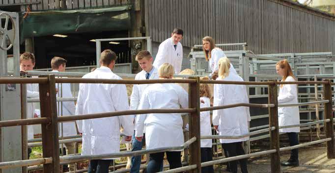Stock judging competition & BBQ Sunday 27th Visit to the Blackpool herd, courtesy of David and Christine Loftus Depart home ***NEW