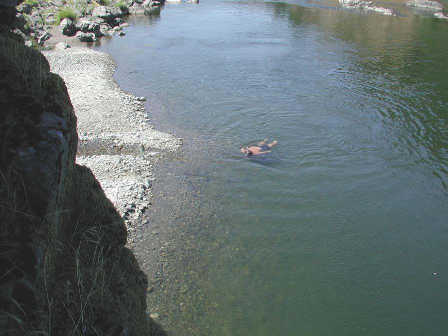 Use of Thermal Refugial Areas on the Klamath River by Juvenile Salmonids; Summer 1998 Michael Belchik Senior