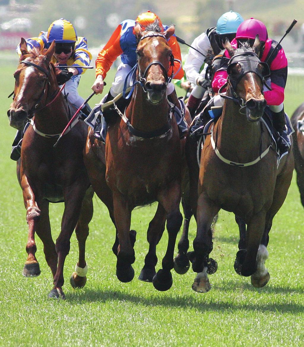 HORSE RACING AUSTRALIA MAGAZINE Contributing To The Racing Industry For Over 23 Years Cost Effective & Affordable