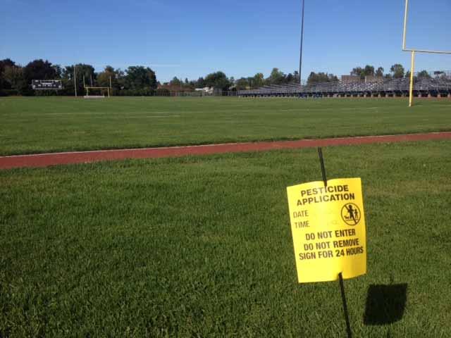 Other facility issues The Grubs In both 2011 and 2013, the South stadium field has been infested with grubs (the report in 2013 indicated that there were at least 15 different kinds of grubs found),