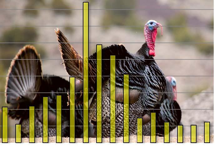 SUMMARY OF STATEWIDE TURKEY HARVEST 1997-2016 Year Harvest Tags Issued Hunter Effort (days) Spring Fall Spring Fall Spring Fall 1997 74 28 239 79 No Data No Data 1998 33 29 103 75 No Data No Data
