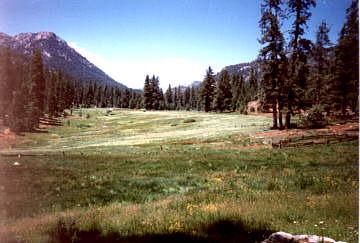They continued in an easterly direction to Cabin Meadow or the headwaters of Clicks Creek, then through Logy Meadows to the point, down Fish Creek to Jerkey Meadows and on to Jug Spring and then
