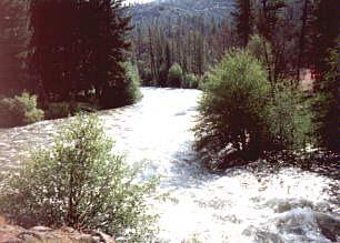 On their way back across the mountains to notify the Tulare County Supervisors that their toll trail was ready for pack stock, they reached Big Kern River and it was a swift torrent and they could