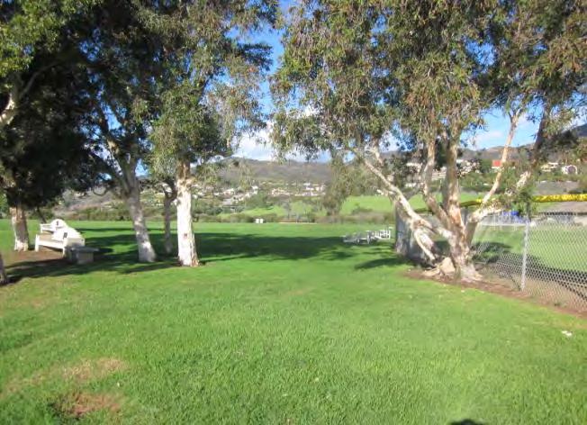 Site Number 4 is currently maintained turf with a medium size California Live Oak tree.
