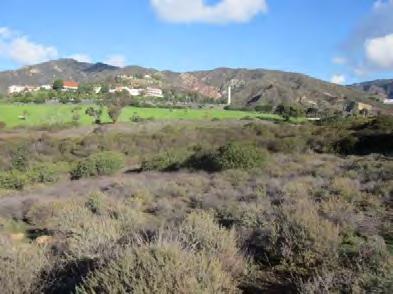 At the Northern edge of the park is a parking lot which services the entire Malibu Bluffs Park.