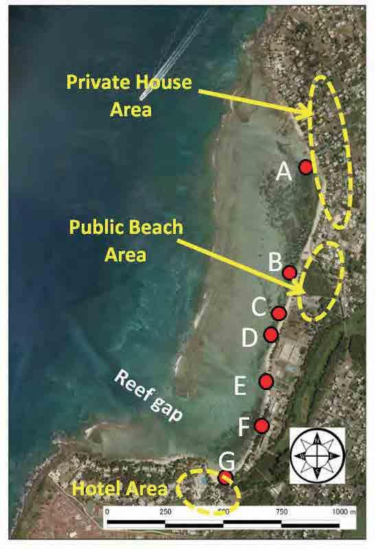 11 Albion (Beach) 11.1 General The coast of 1.5km long is located at the west of Mauritius as a pocket beach.