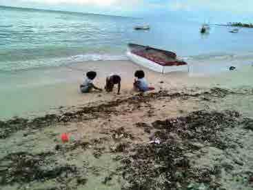 Accumulated Garbage in drainage contacting with beach Source: JICA Expert Team 11.5.