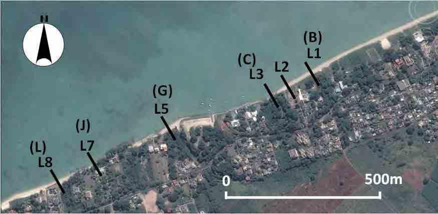 Source: Edited by JICA Expert Team based on Google Maps Figure 12.2.8 Coastal Survey Points 0.5 e th ) 0.0 n o t(m 0.5 1.0 a s e d in o p b c e1.5 n n 2.0 v a tio re fe 2.5 E le re 3.