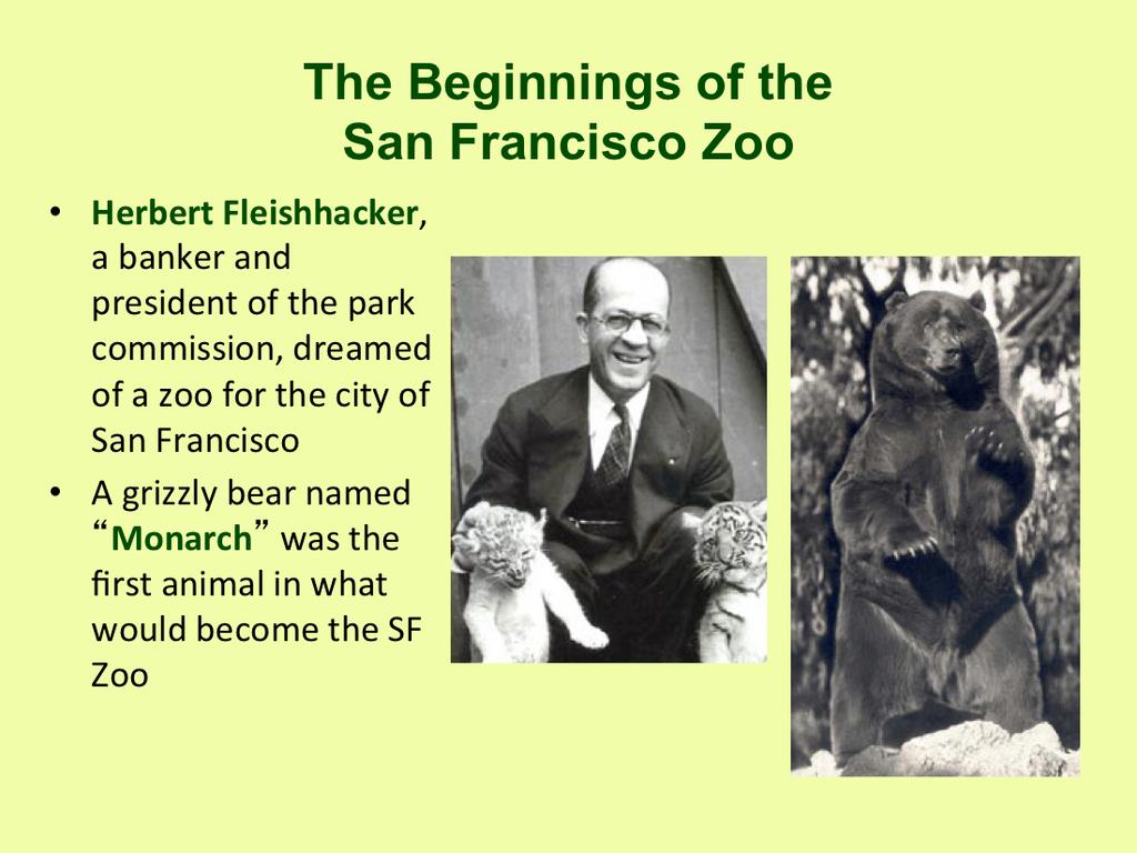 Initially, in 1866, the zoo was housed in Woodward s Gardens of the Mission District and was later moved to the Golden Gate Park exhibiting bears, emus, beavers, sheep, kangaroos, moose, goats, elk,