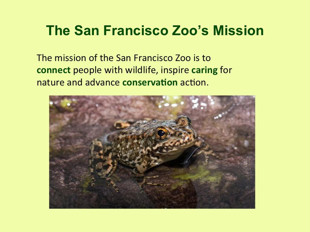 "The mission of the is to connect people with wildlife, inspire caring for nature and advance conservation action.