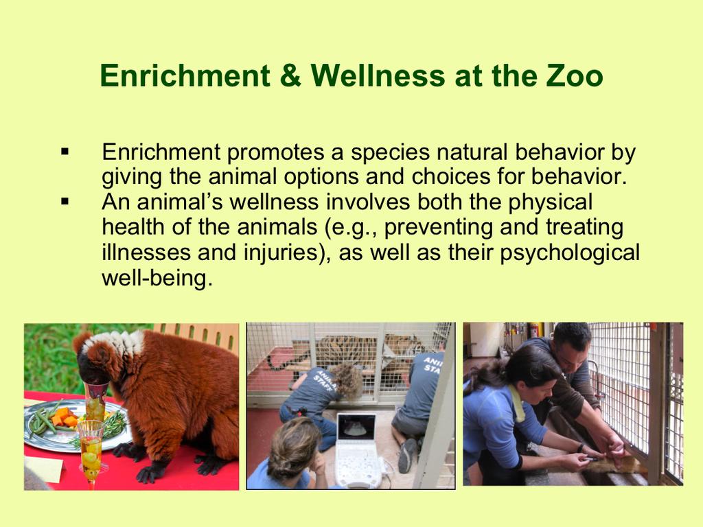 The San Francisco zoo staff promote positive environments for their animals so that they can thrive.